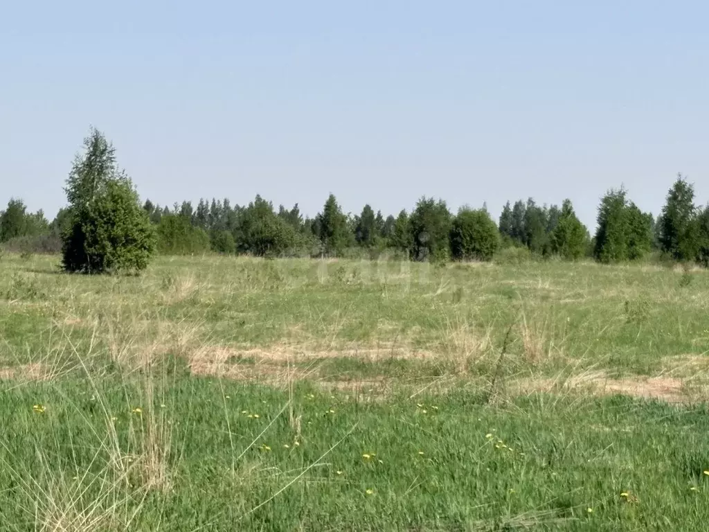 Участок в Костромская область, Кострома ул. Шарьинская, 4 (10.0 сот.) - Фото 1