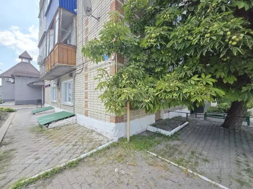 3-к кв. Белгородская область, Валуйки ул. Степана Разина, 5 (51.2 м) - Фото 1