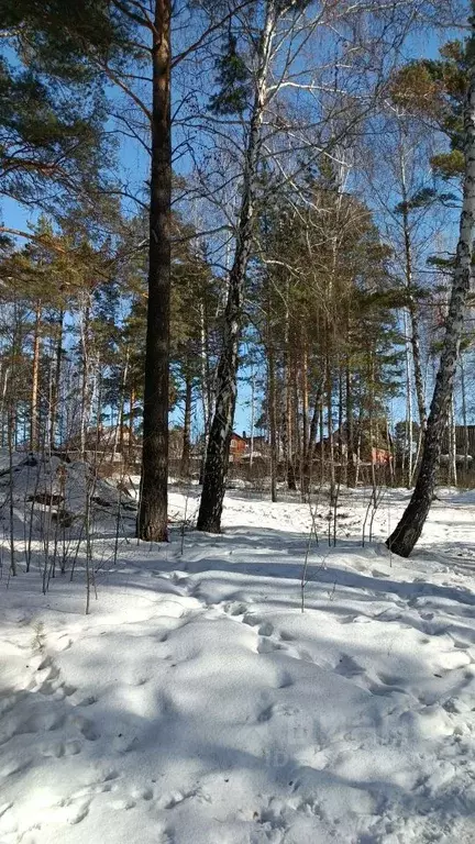 Участок в Иркутская область, Иркутск  (4.0 сот.) - Фото 1