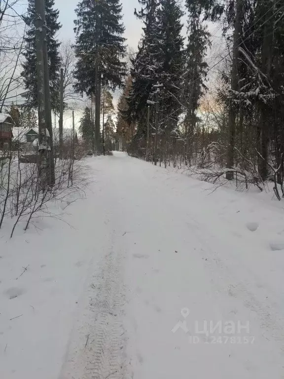 Участок в Ленинградская область, Гатчинский район, Дружная Горка ... - Фото 0