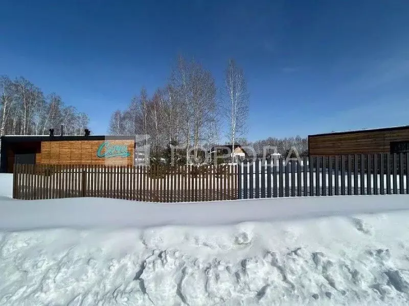 Участок в Новосибирская область, Новосибирский район, Кудряшовский ... - Фото 2