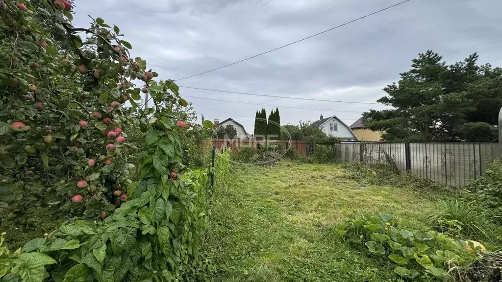Участок в Калининградская область, Зеленоградск СНТ Волна тер., ул. ... - Фото 1