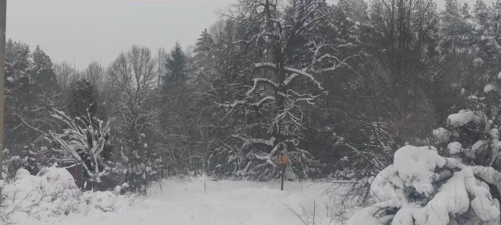 Участок в Московская область, Можайский муниципальный округ, д. ... - Фото 2