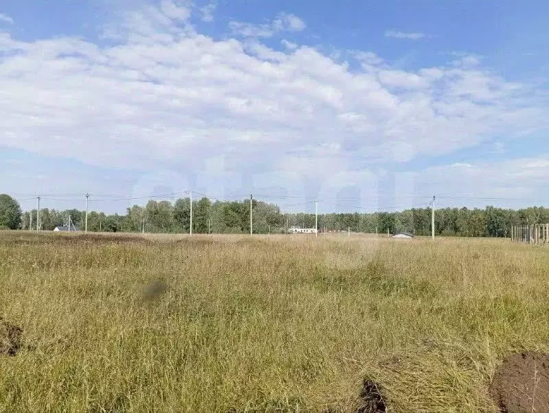 Участок в Алтайский край, Первомайский район, с. Фирсово, Чистые пруды ... - Фото 1