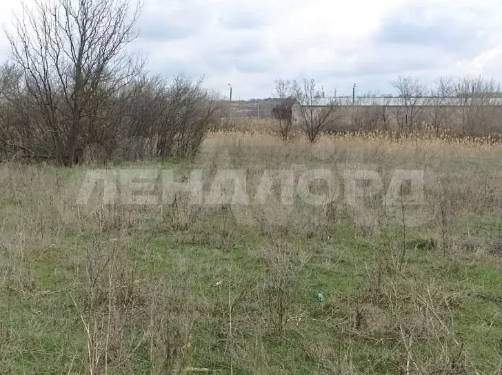 Участок 10 сот. (ИЖС) - Фото 1