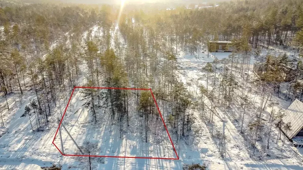 Участок в Ленинградская область, Всеволожское городское поселение, ... - Фото 0