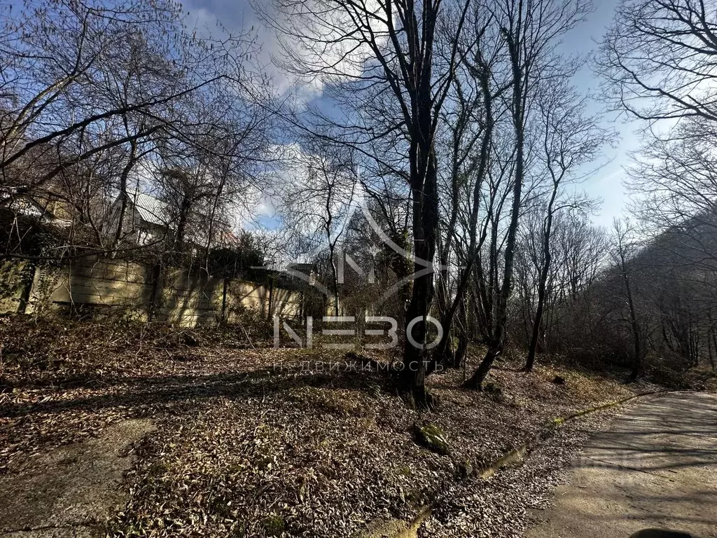 Участок в Краснодарский край, Сочи городской округ, с. Харциз Первый ... - Фото 0