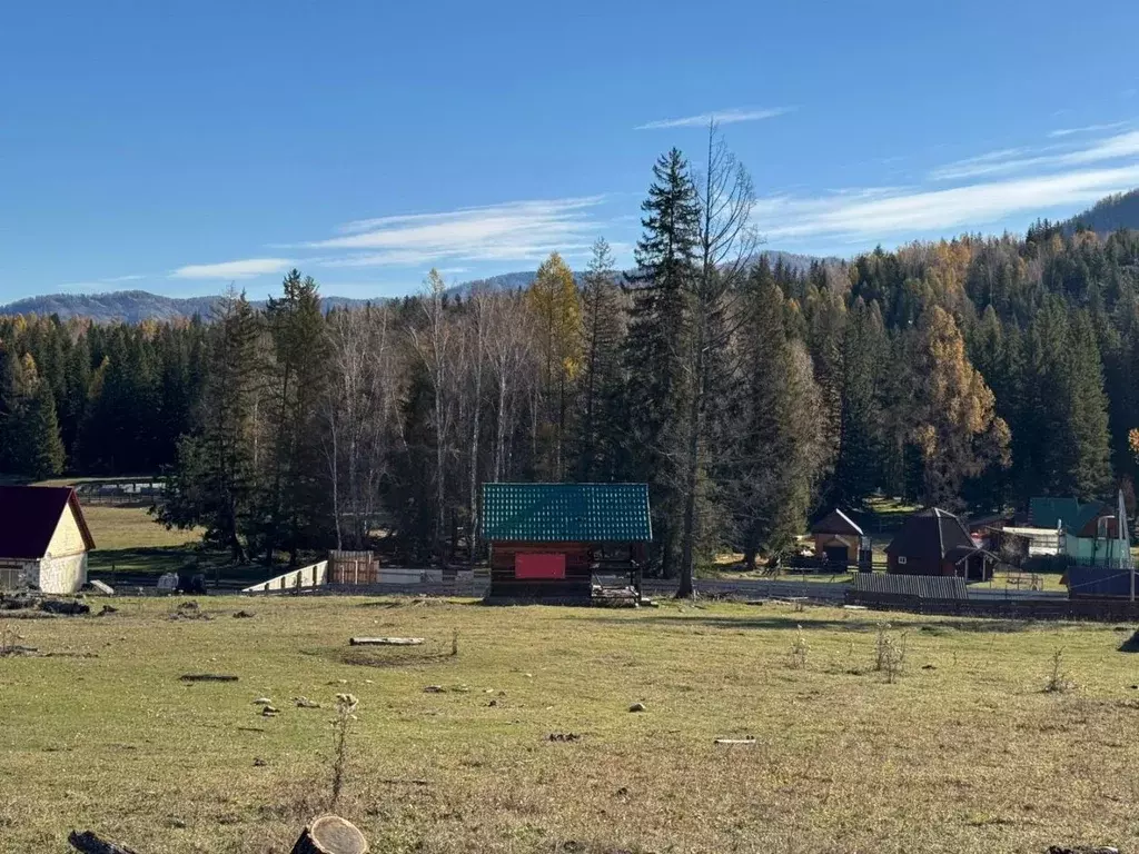 Участок в Алтай, Усть-Коксинский район, пос. Кучерла ул. Ленина (60.0 ... - Фото 2