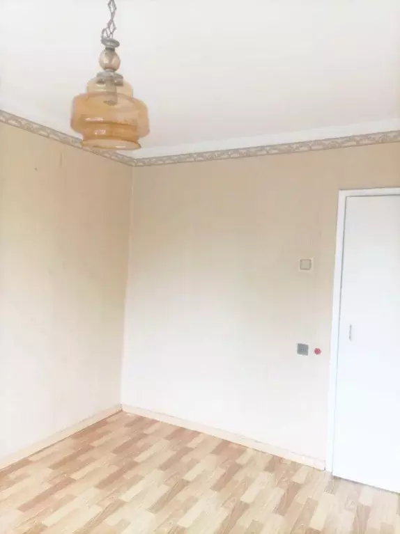 3-к кв. Новгородская область, Новгородский район, Трубичинское с/пос, ... - Фото 1