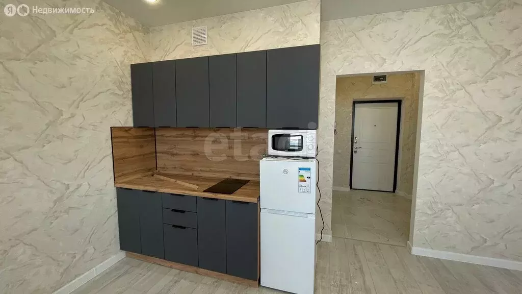 Квартира-студия: деревня Дударева, улица Сергея Джанбровского, 1 (25.2 ... - Фото 2