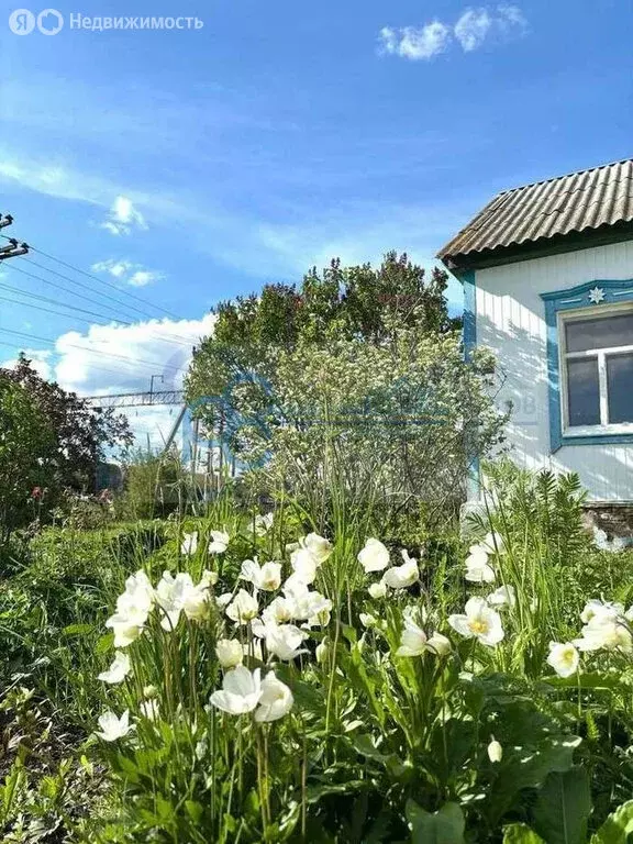 Дом в Паницкая, Железнодорожная улица, 4 (60 м) - Фото 2