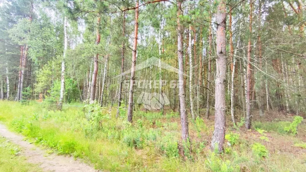 Участок 10 сот. (СНТ, ДНП) - Фото 1