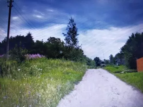 Участок в Московская область, Клин городской округ, д. Алферьево 2А ... - Фото 2