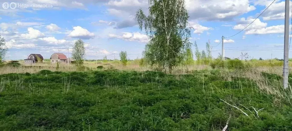 Участок в Червишевское муниципальное образование (8 м) - Фото 0