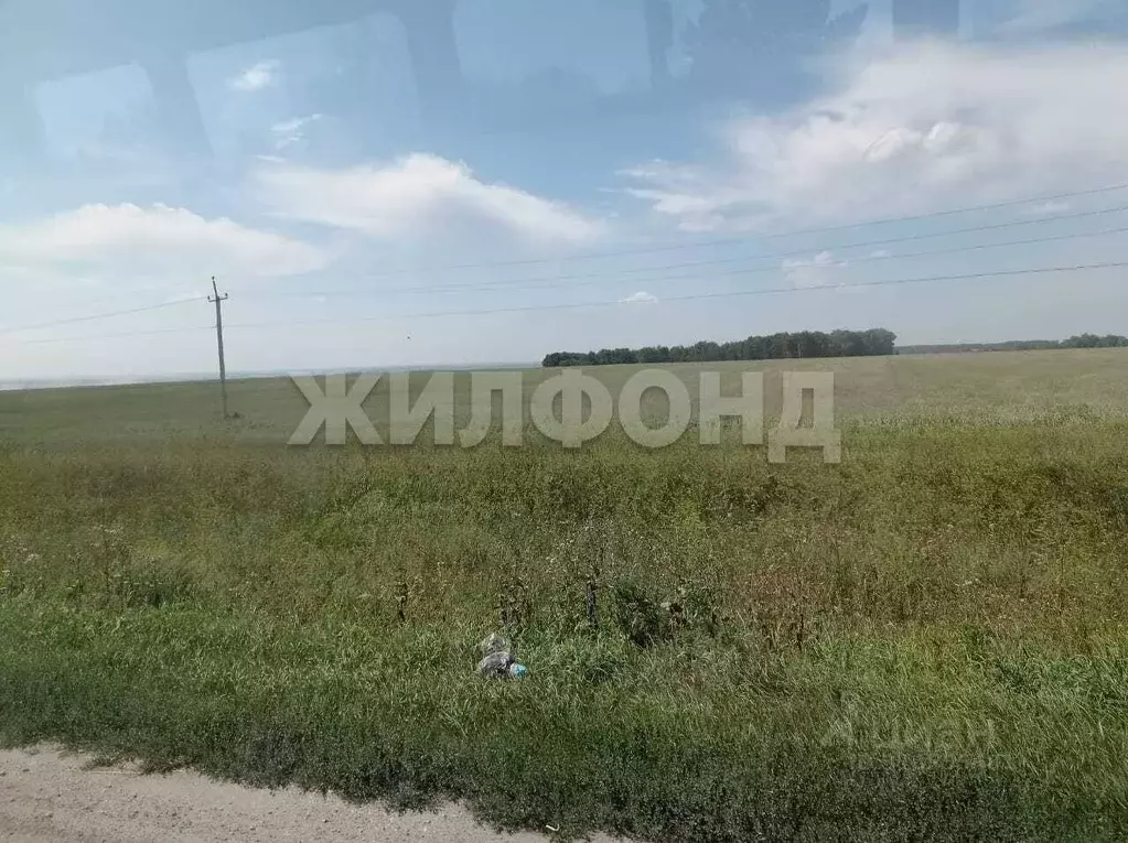 Участок в Новосибирская область, Новосибирский район, Кубовинский ... - Фото 1