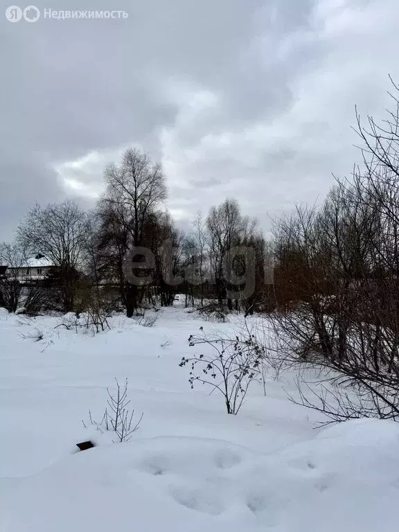 Участок в Московская область, Дмитровский муниципальный округ, деревня ... - Фото 1