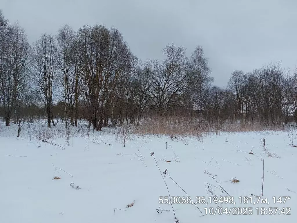 Участок в Московская область, Наро-Фоминский городской округ, д. ... - Фото 0