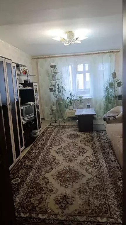 3-к кв. Новосибирская область, Тогучинский район, Горный рп Молодежная ... - Фото 1