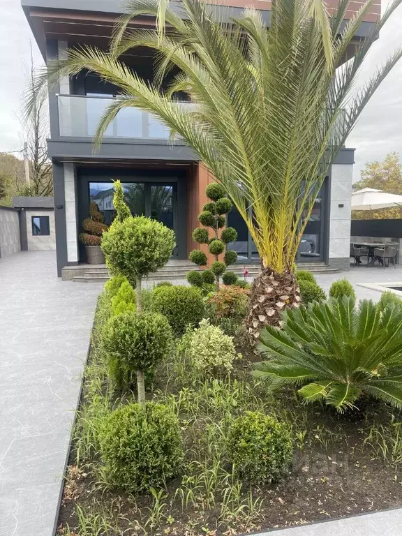 Дом в Краснодарский край, Сочи Школьная ул. (196 м) - Фото 1