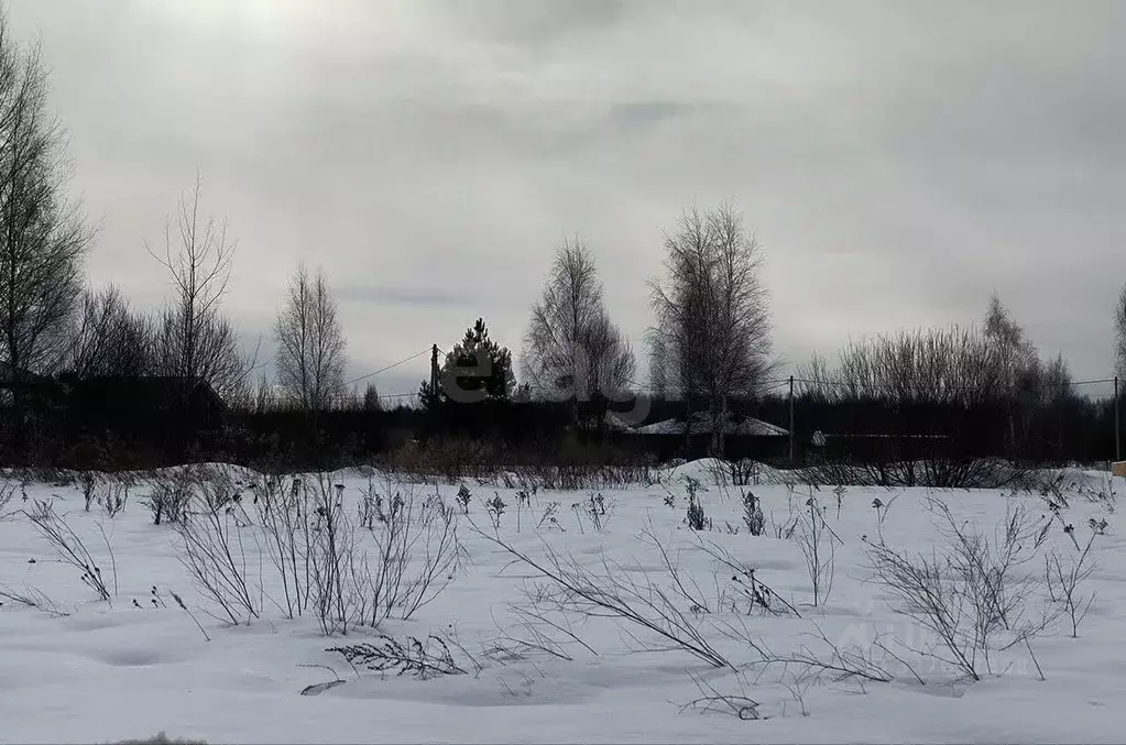 Участок в Костромская область, Кострома ул. Владимира Люсина (10.6 ... - Фото 2