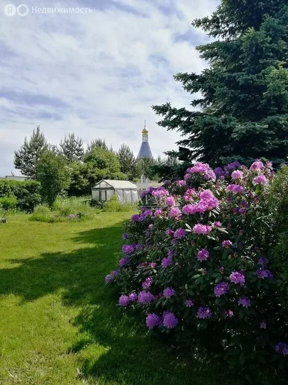 Дом в Токсовское городское поселение, садоводческое некоммерческое ... - Фото 0