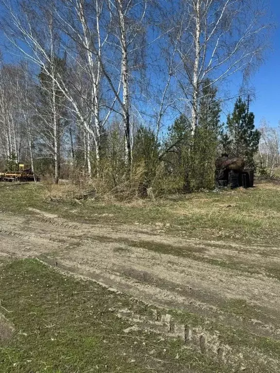 Участок в Алтайский край, Бийский район, пос. Усть-Катунь  (25.0 сот.) - Фото 1