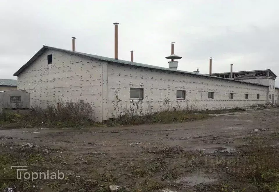 Производственное помещение в Алтайский край, Тальменский район, ... - Фото 1
