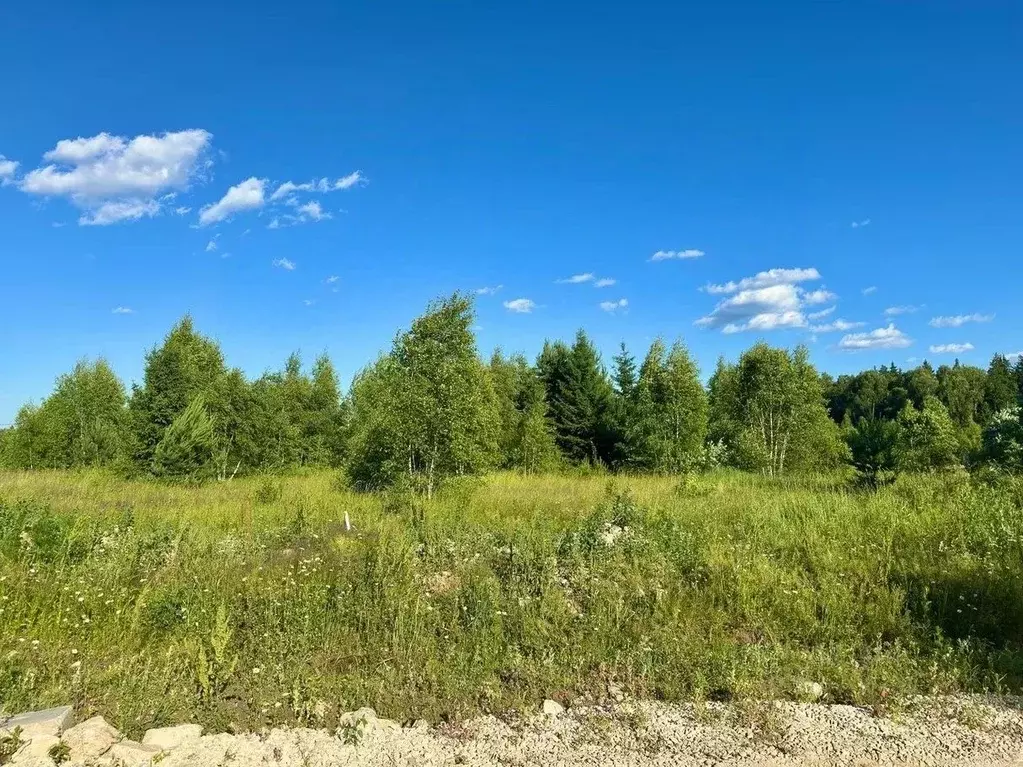 Участок в Московская область, Серпухов городской округ, Южные Луга кп  ... - Фото 2