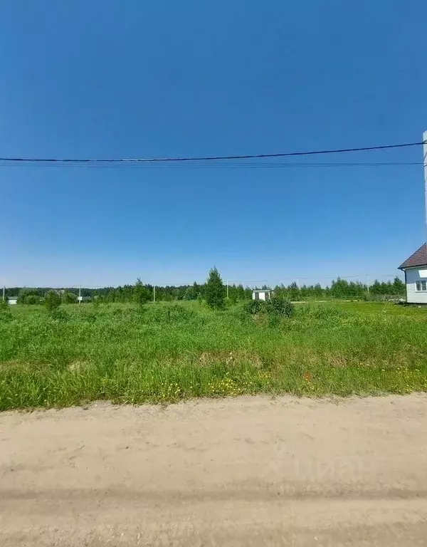 Участок в Московская область, Раменский муниципальный округ, Долина ... - Фото 2