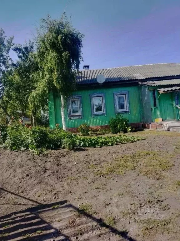 Дом в Воронежская область, Нижнедевицкий район, Верхнетуровское с/пос, ... - Фото 2