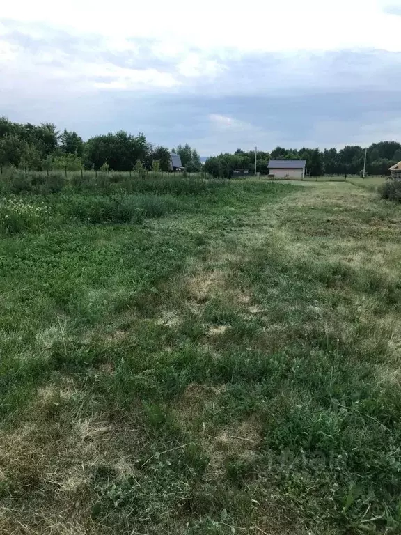 Участок в Новосибирская область, Ордынский район, с. Красный Яр ... - Фото 1