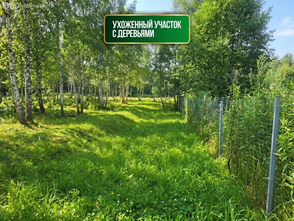 Участок в Московская область, Руза (12 м) - Фото 2