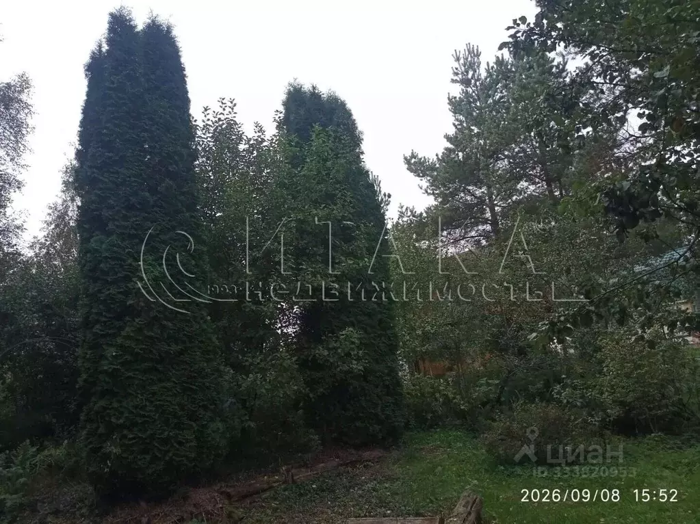 Дом в Ленинградская область, Всеволожский район, Морозовское городское ... - Фото 2