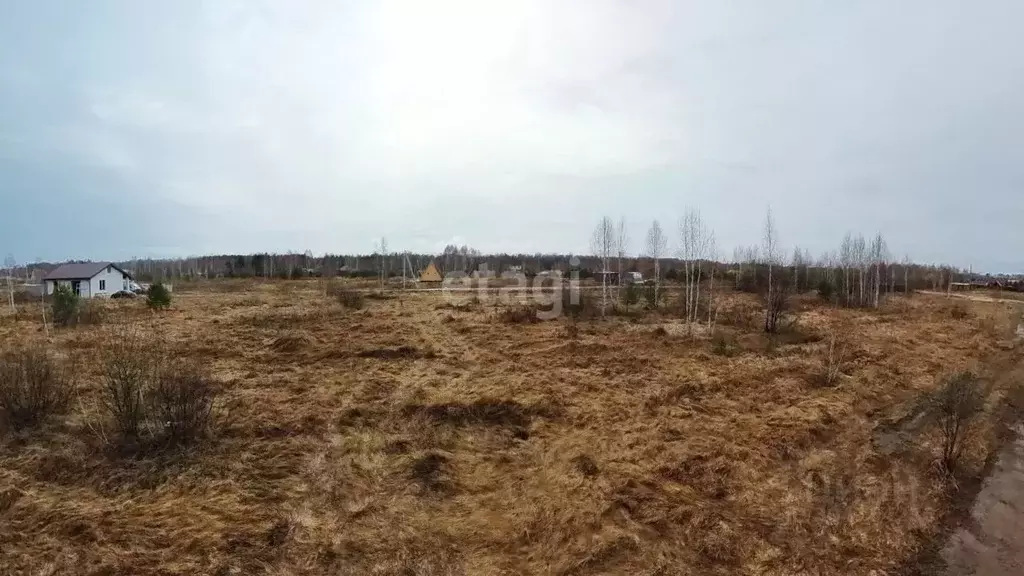 Участок в Тюменская область, Нижнетавдинский район, Геолог-2 СНТ  (8.0 ... - Фото 1