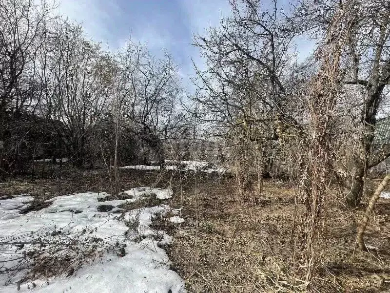 Участок в Нижегородская область, Нижний Новгород Сад №1 АО ЗЕФС ... - Фото 1