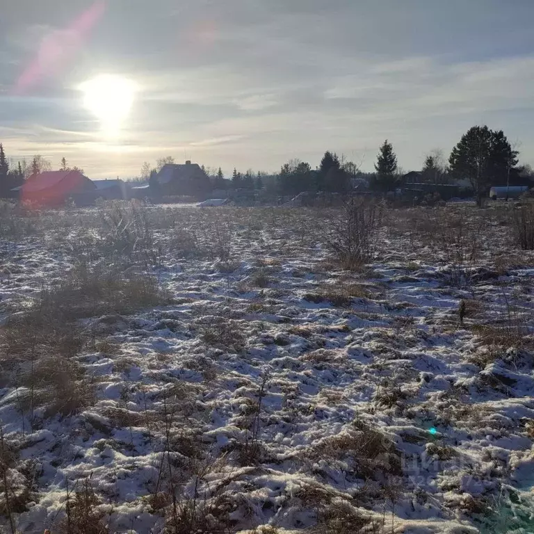 Участок в Московская область, Павлово-Посадский городской округ, д. ... - Фото 1