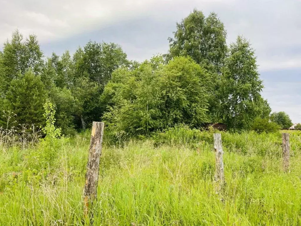 участок в забайкальский край, читинский район, с. смоленка (15.0 . - Фото 1