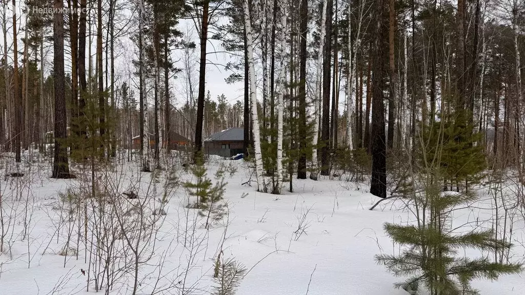 Участок в Иркутский муниципальный округ, СНТ Южное, 7 (10 м) - Фото 2