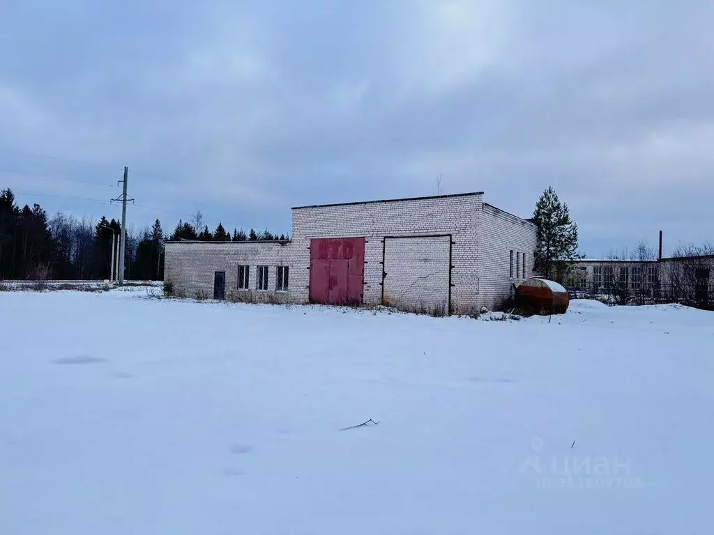 Помещение свободного назначения в Вологодская область, Великоустюгский ... - Фото 1