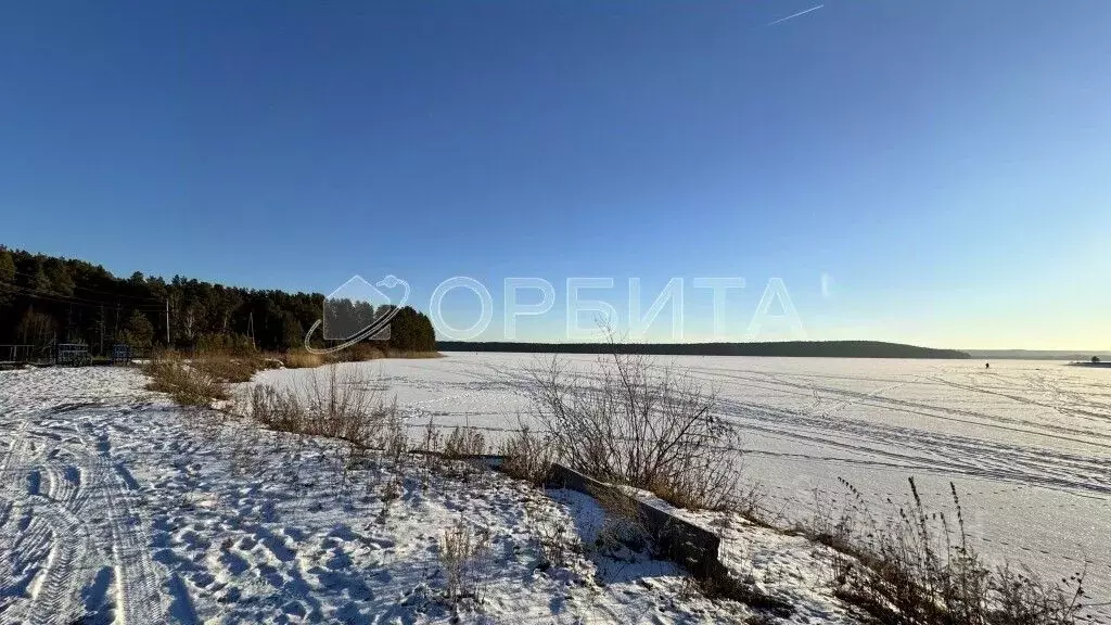 Участок в Свердловская область, Тугулымский муниципальный округ, с. ... - Фото 2