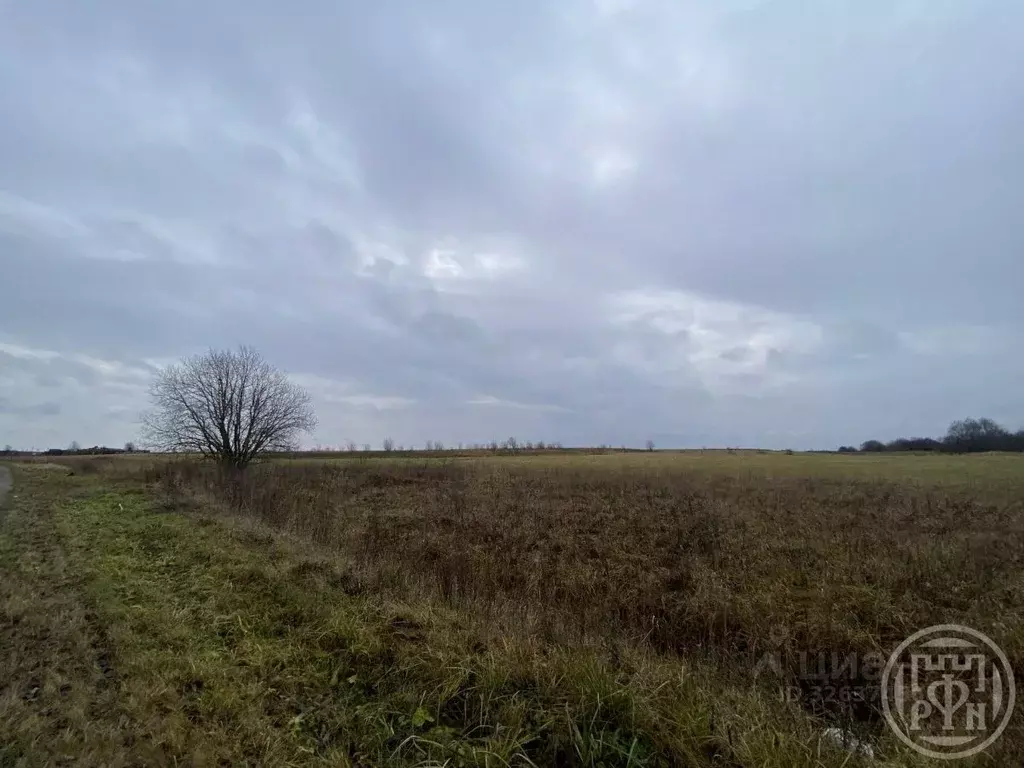 Участок в Ленинградская область, Волховский район, Свирицкое с/пос, ... - Фото 2
