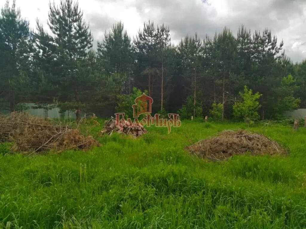 Участок в Сергиево-Посадский городской округ, СНТ Переславичи (10 м) - Фото 1