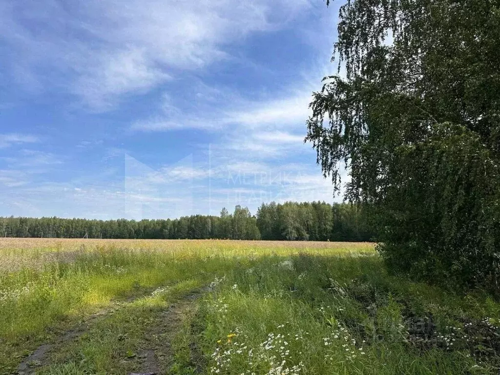 Участок в Тюменская область, Тюменский муниципальный округ, с. Кулига ... - Фото 1