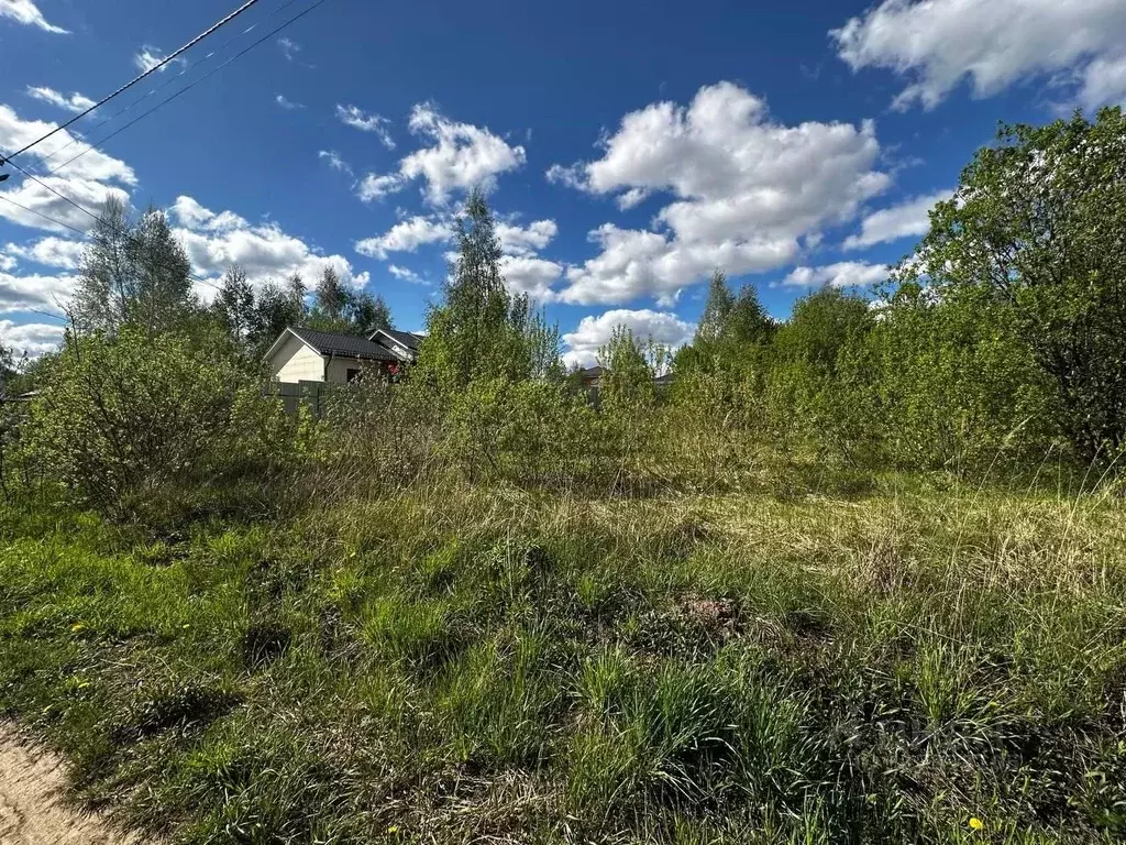 Участок в Тульская область, Тула городской округ, д. Тихвинка  (15.0 ... - Фото 1