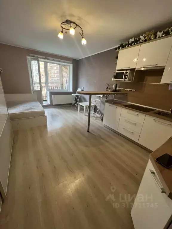 Студия Санкт-Петербург дор. Кушелевская, 7к6 (25.5 м) - Фото 0