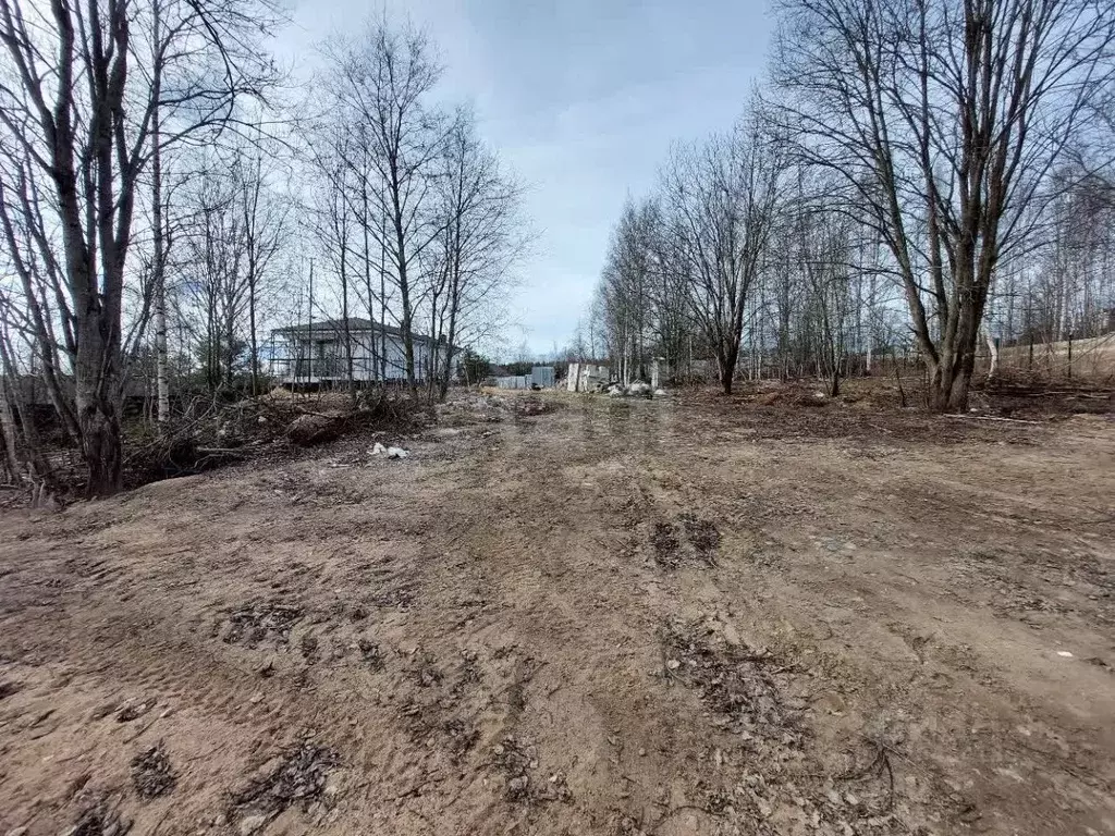 Участок в Ленинградская область, Выборгский район, Первомайское с/пос, ... - Фото 1