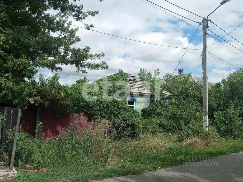 Участок в Белгородская область, Алексеевка пер. 9 Января (5.0 сот.) - Фото 1