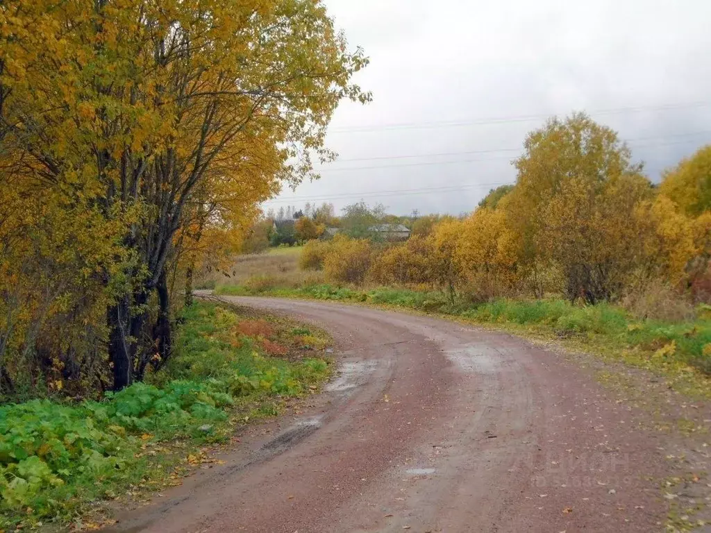 Участок, 260 сот., фермерское хоз-во - Фото 0