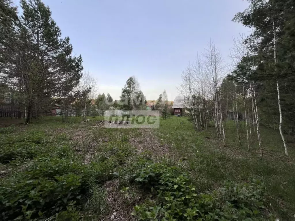 Участок в Свердловская область, Сысертский муниципальный округ, ... - Фото 0