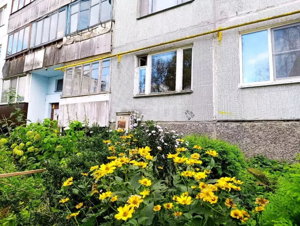 2-к кв. Псковская область, Псков ул. Шелгунова, 15 (50.7 м) - Фото 1